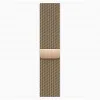 Apple Watch Series 9 45mm Gold Stainless Steel Case Millanes Gold Band